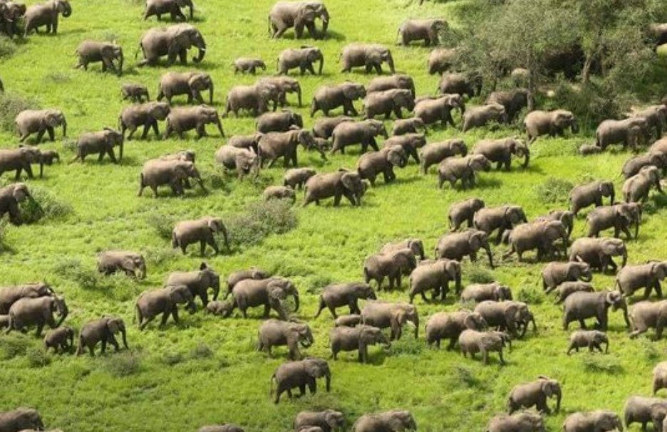 Zakouma National Park